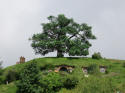 Hobbiton